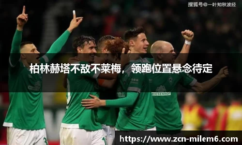 米乐体育官方网站