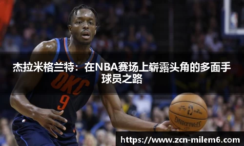 米乐体育官网